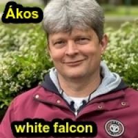 White Falcon